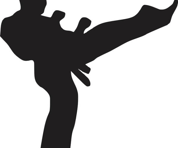 Martial Arts Hall Of Famer Wants To Help – Jamestown Post Journal