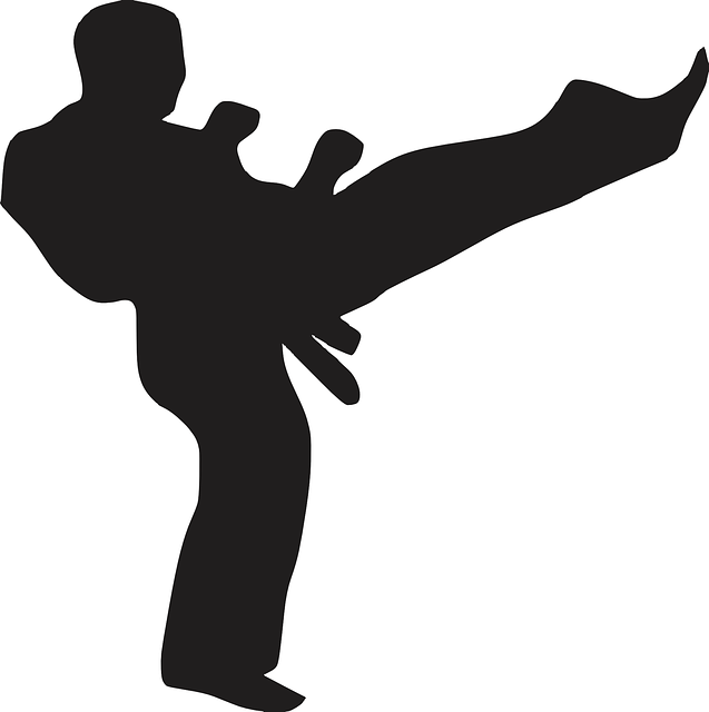 Martial Arts Hall Of Famer Wants To Help – Jamestown Post Journal