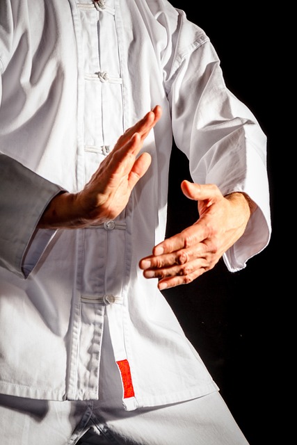 No need for blows in martial arts row – Bangkok Post